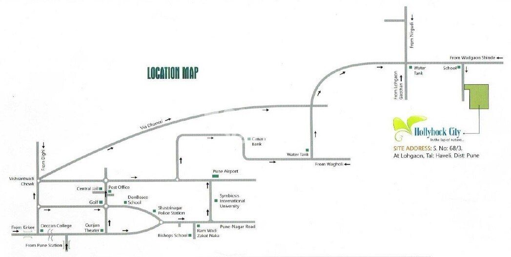 Kate Moze Hollyhock City