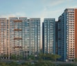 Kohinoor Woodshire