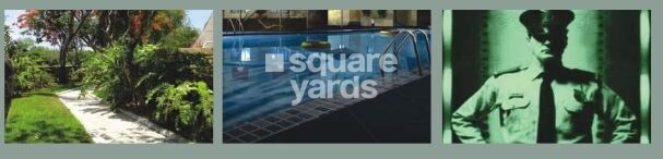 Kolte Patil Cilantro