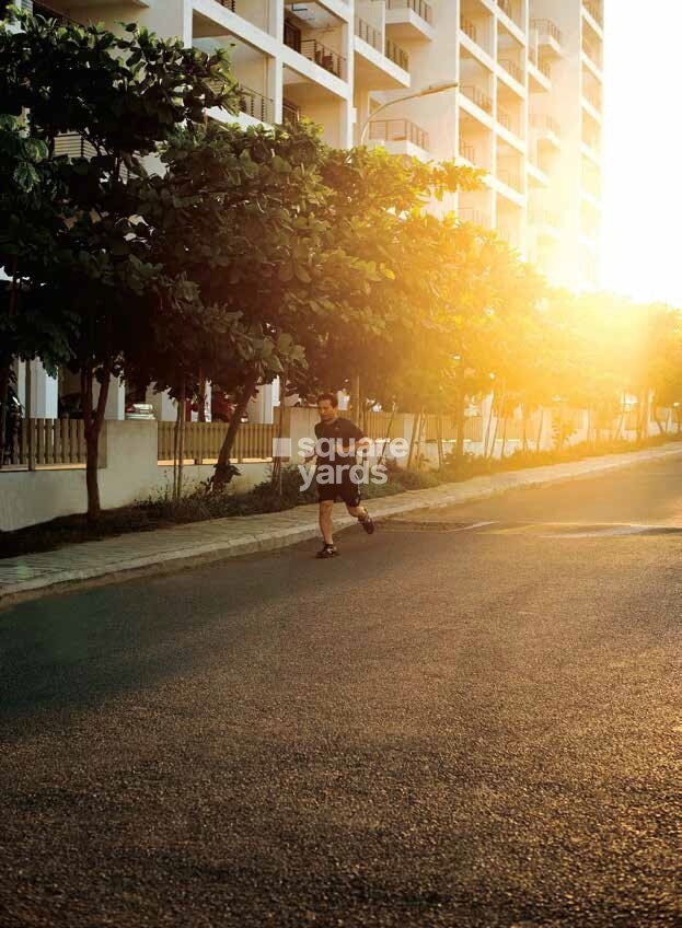 Kolte Patil Ivy Apartments Amenities-Features 4