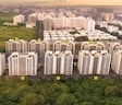 Kolte Patil Ivy Estate Nia