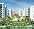 Kolte Patil Little Earth