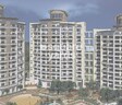 Kool Homes Solitaire