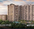 Krisala 41 Luxovert