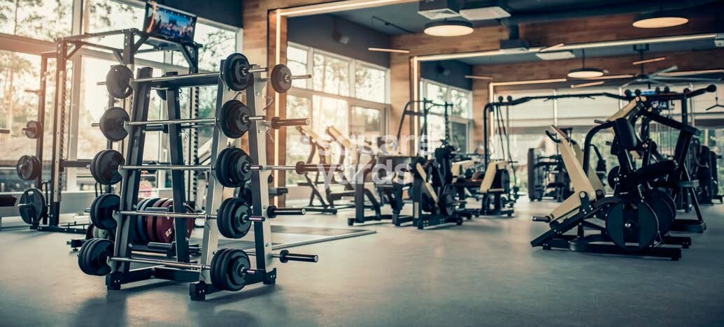 Krisala 41 Zillenia Gymnasium Image