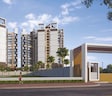 Krishna Amarillo