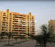 Magarpatta City Roystonea