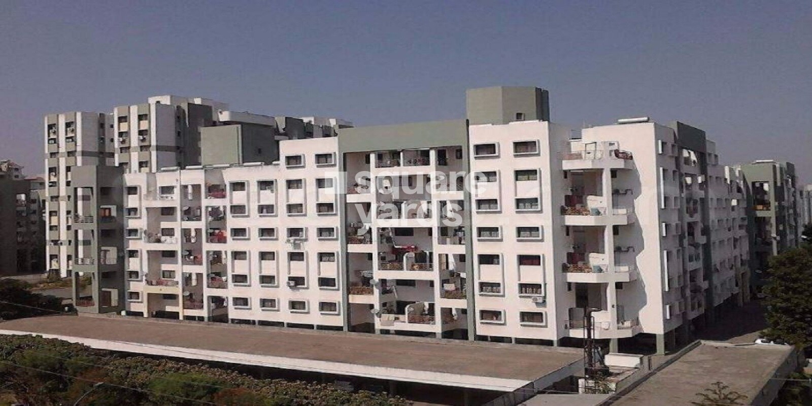 Magarpatta Grevillea Tower View