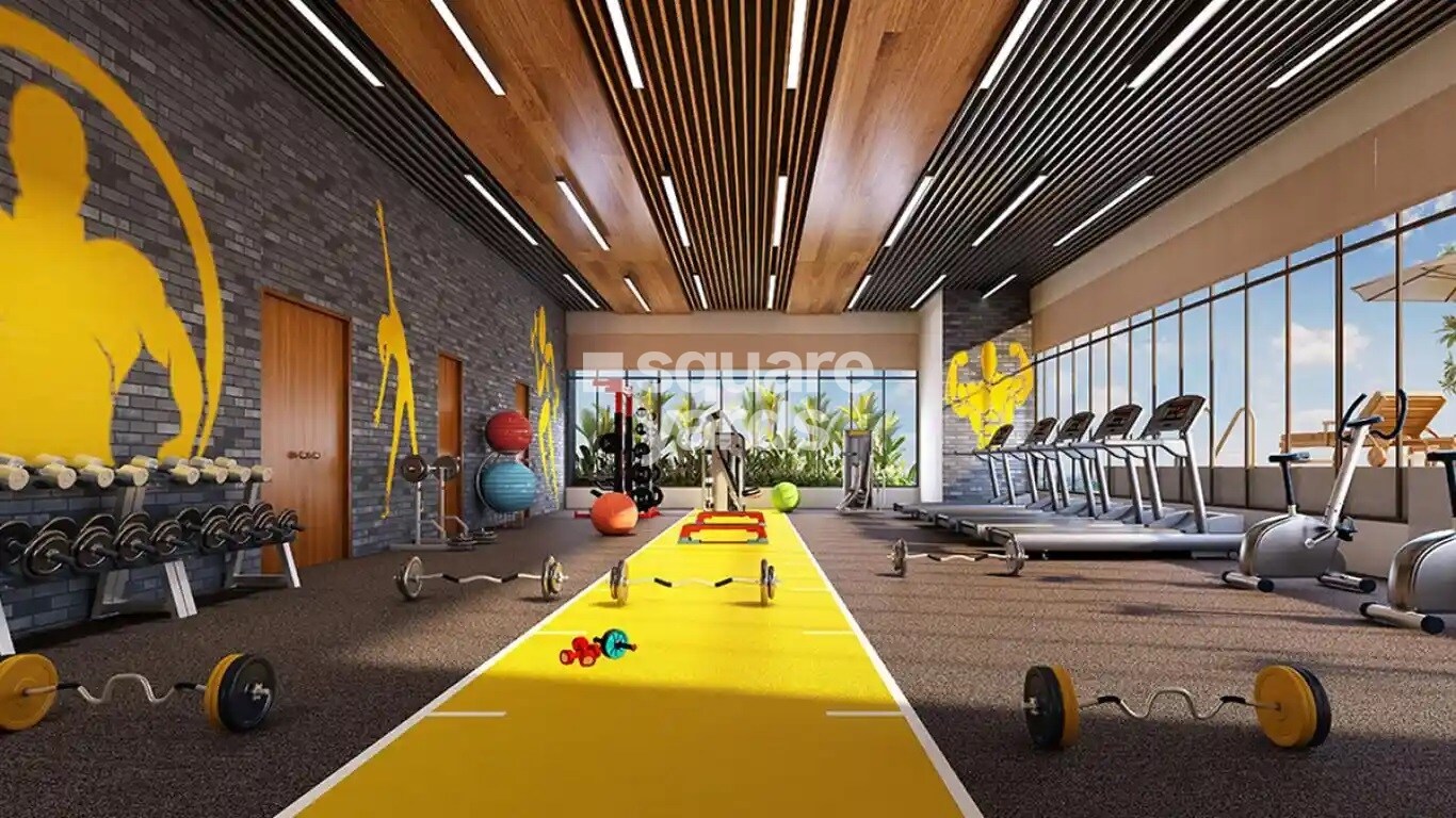 Majestique Evolvus Gymnasium Image