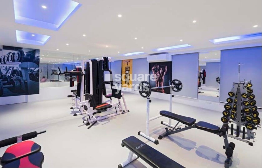 Majestique Manhattan Phase 2 Amenities-Features 3