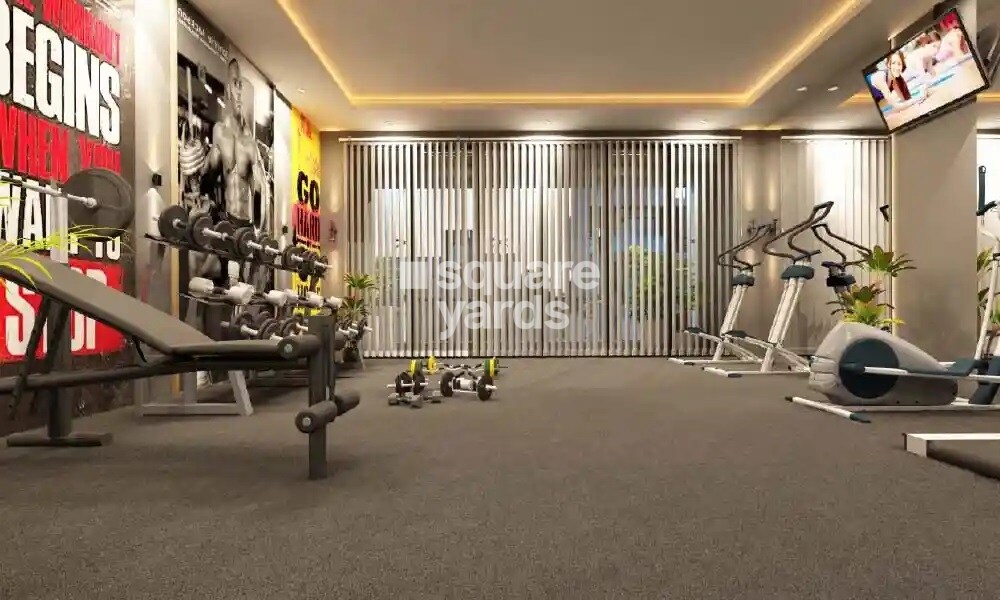 Majestique Memories Gymnasium Image