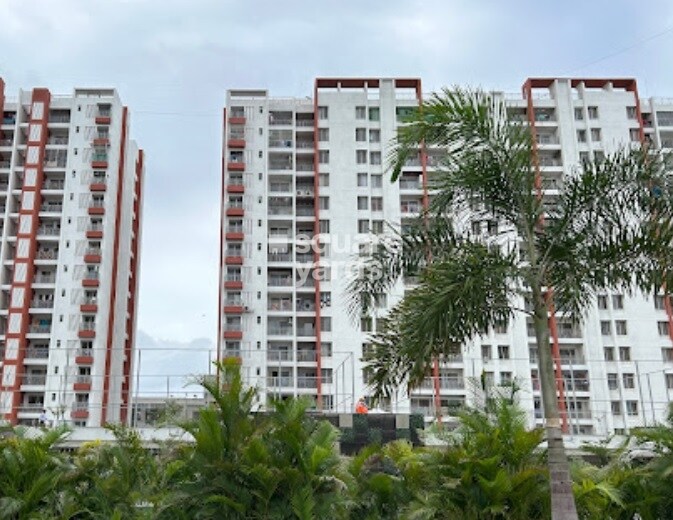 Majestique Rhythm County