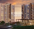 Manav Wild Woods