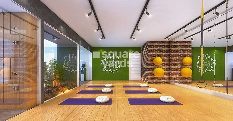 Mantra Park View Phase 2 Amenities-Features 2