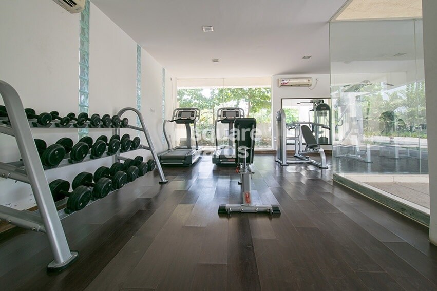 Marvel Azure Gymnasium Image