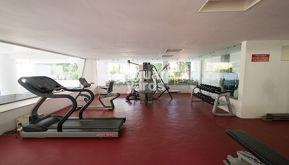 Marvel Merlot Gymnasium Image