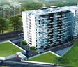 Mavens Viaan