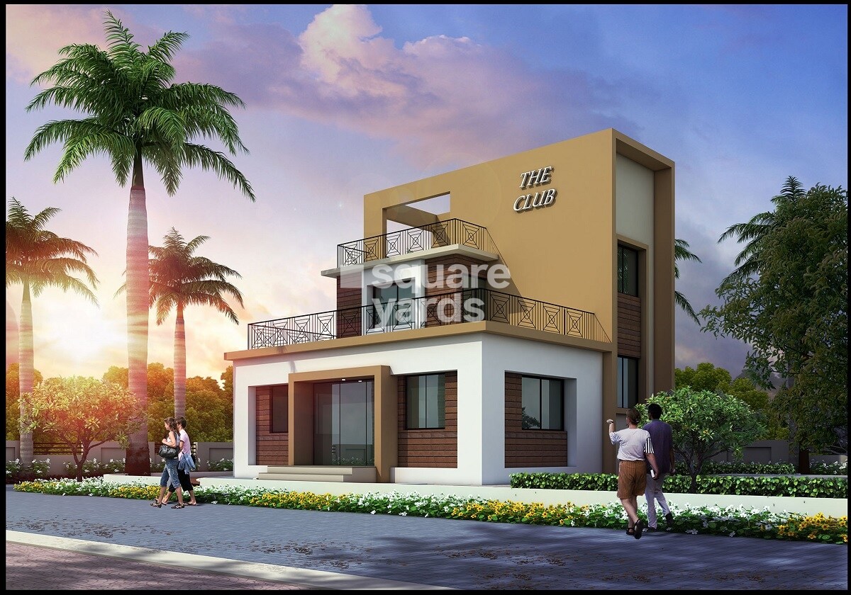 Mercury Artharaj Royal Cassia A Wing