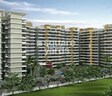 Miami Apartment