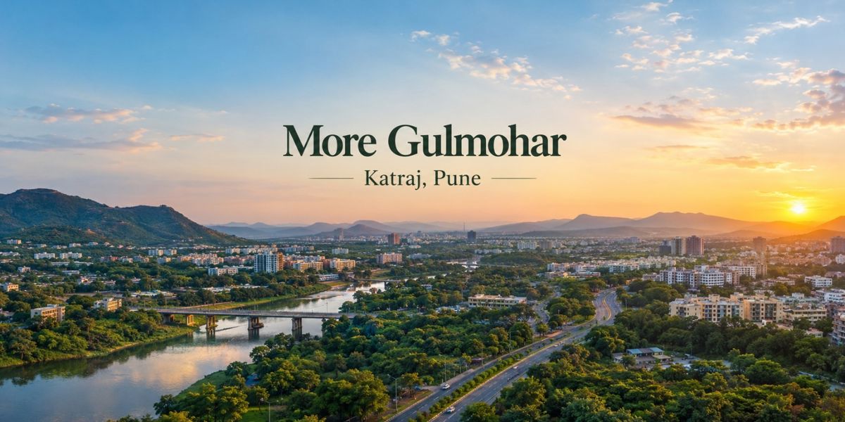 More Gulmohar Featured Image