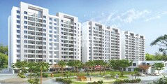 Mulik Corp Luxuria