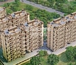 Nexus Gulmohar