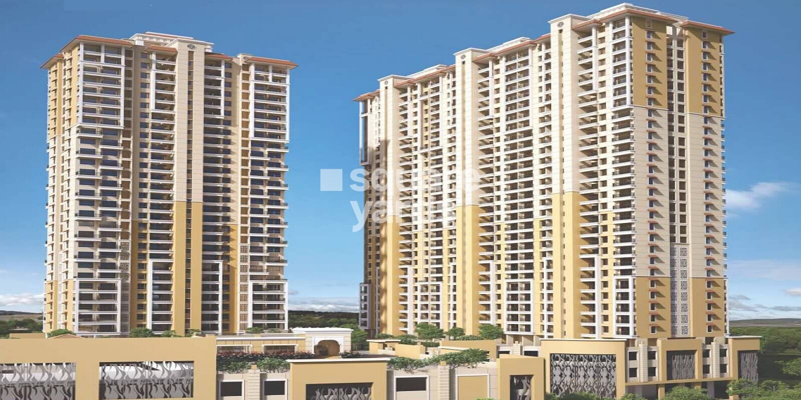 nyati-elysia