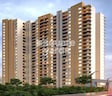 Nyati Group Evolve 2