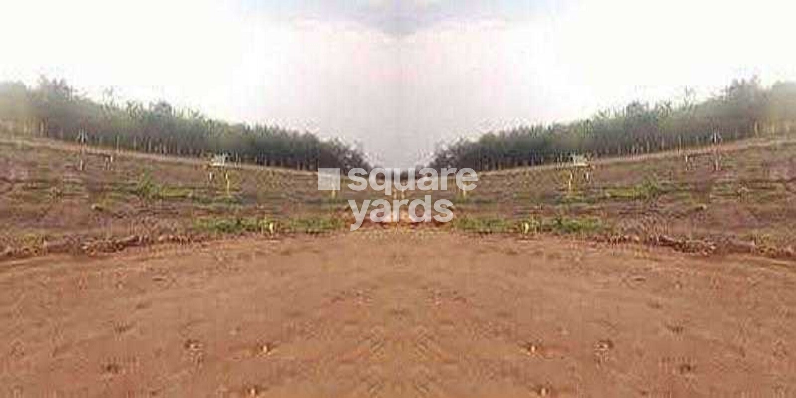 Nyati Highland Eastern Foundation Featured Image