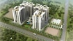 Om Tropical Palms Tower View