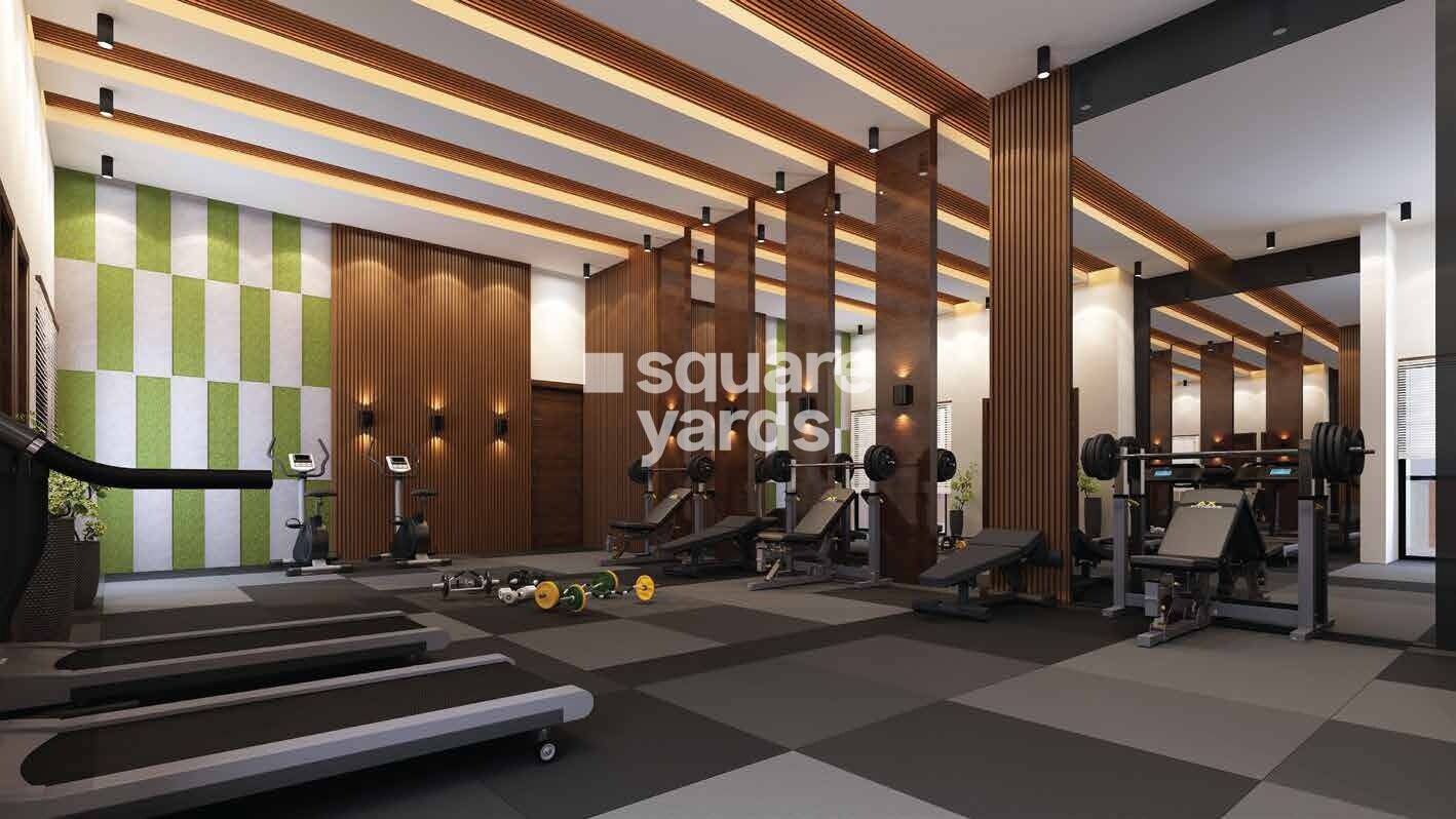 Opulent Starlit Gymnasium Image