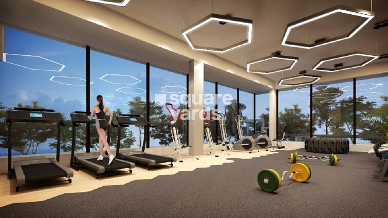 Oxy Beaumonde Gymnasium Image