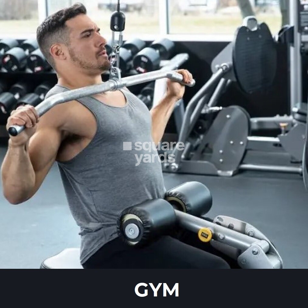 Panasia Life Established Gymnasium Image