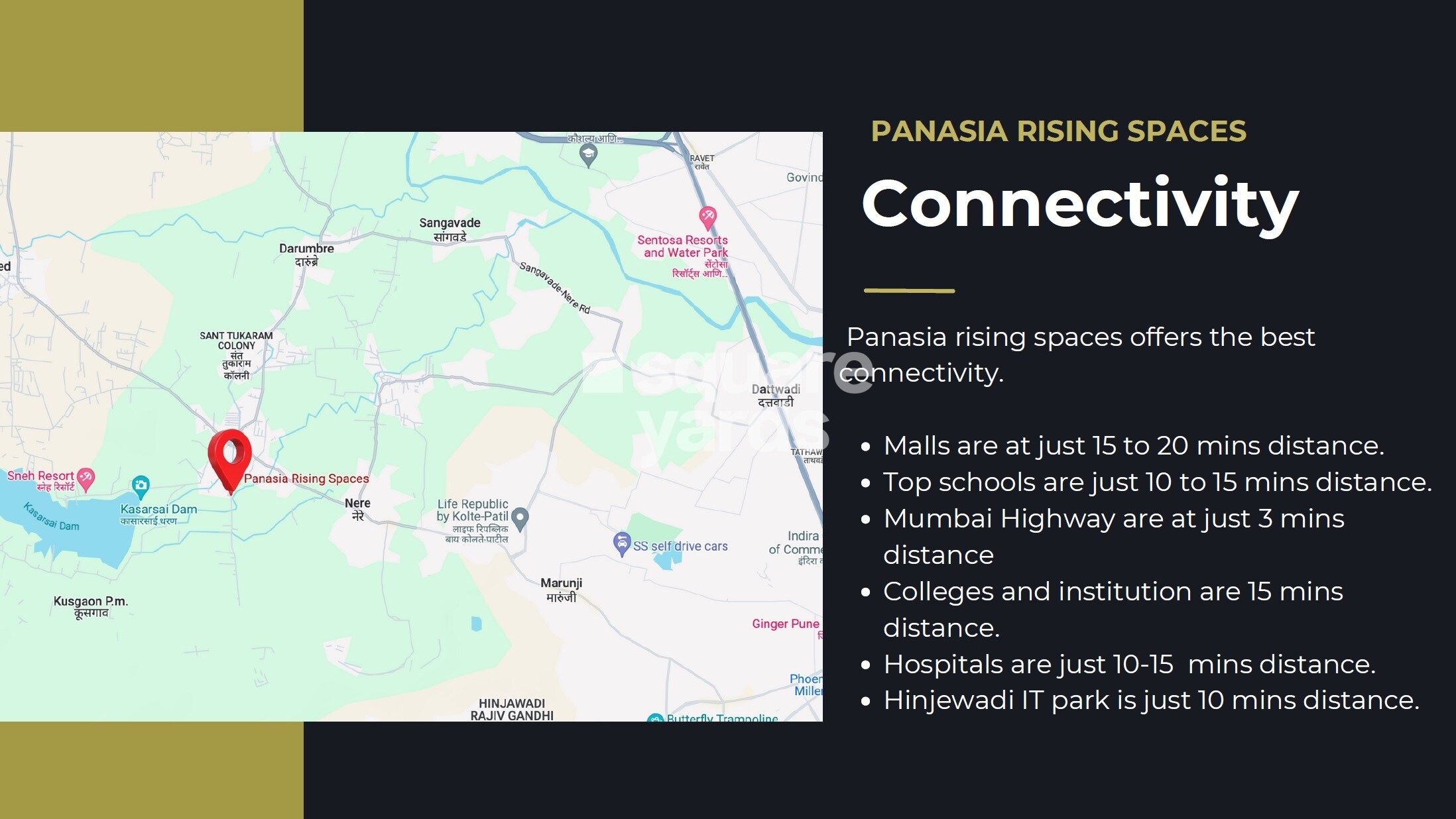 Panasia Life Established