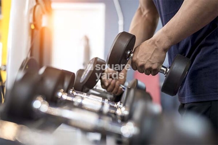 Pantheon Acorn Park Phase 1 Gymnasium Image