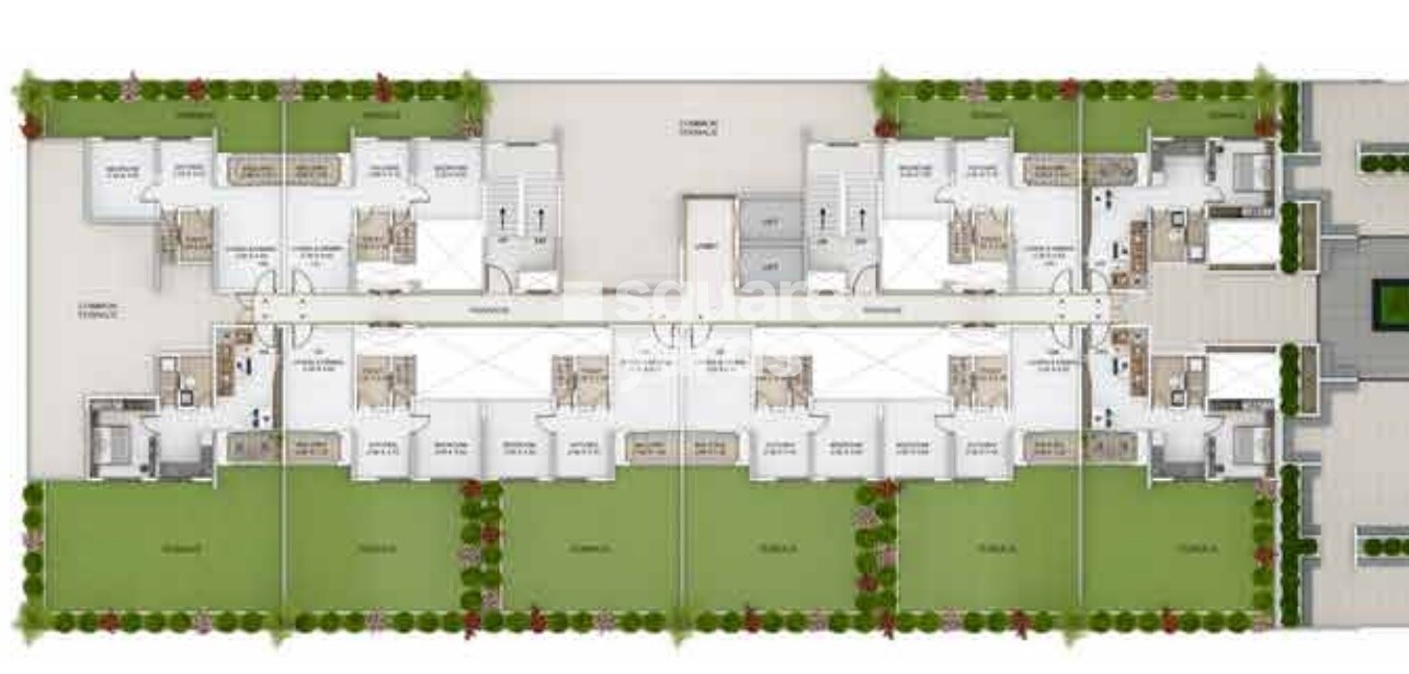 Paranjape Forest Trails Everglades H3 And H4