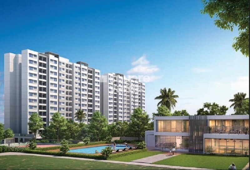 Paranjape Forest Trails Everglades H3 And H4