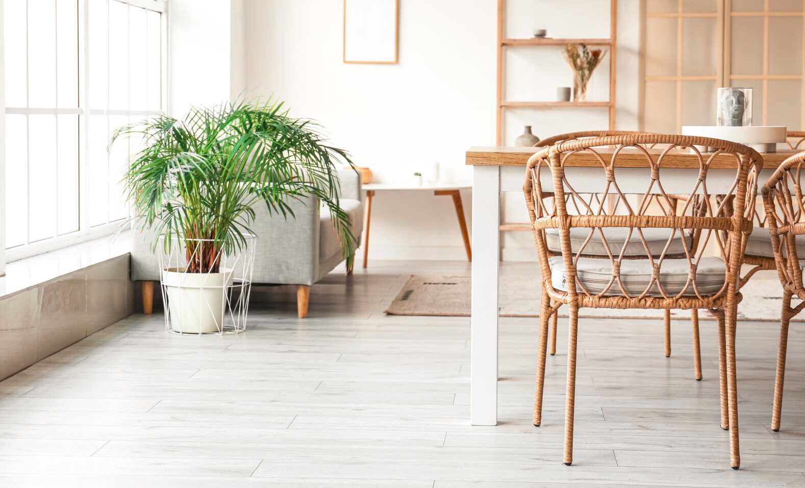 Paranjape Forest Trails High Gardens