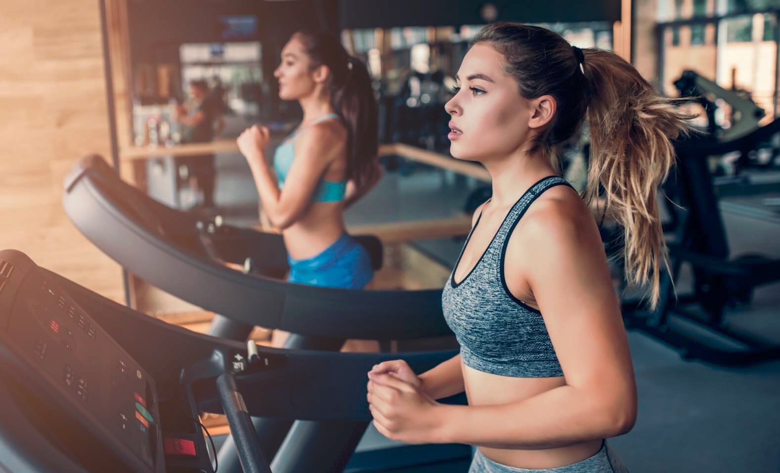 Paranjape Forest Trails High Gardens