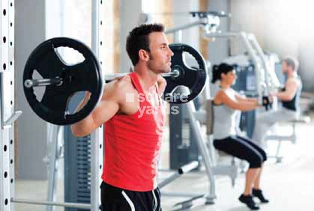 Paranjape Forest Trails Highland Tower 9 10 and 11