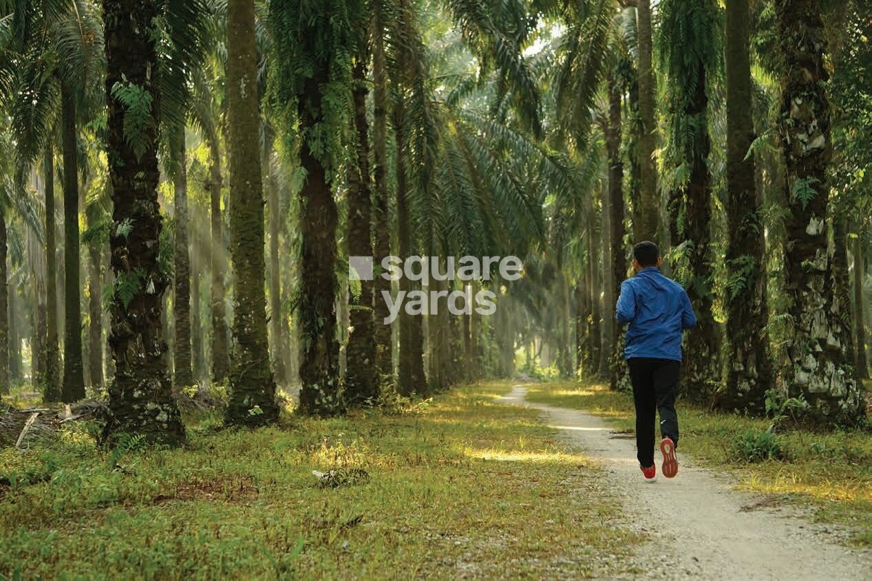 Paranjape Forest Trails Highland Tower 9 10 and 11