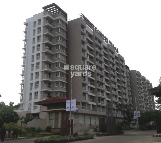 Paranjape Forest Trails Pebbles