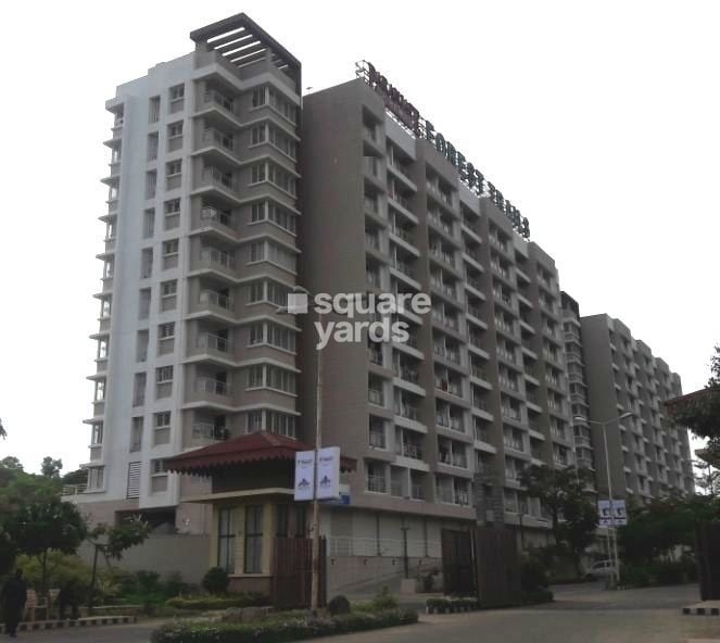 Paranjape Forest Trails Pebbles