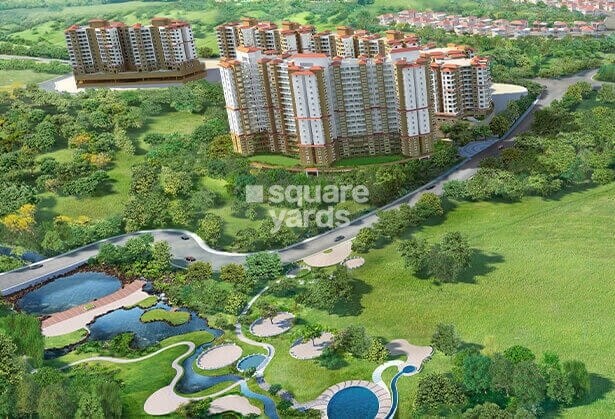 Paranjape Forest Trails The Highlands Tower View 1