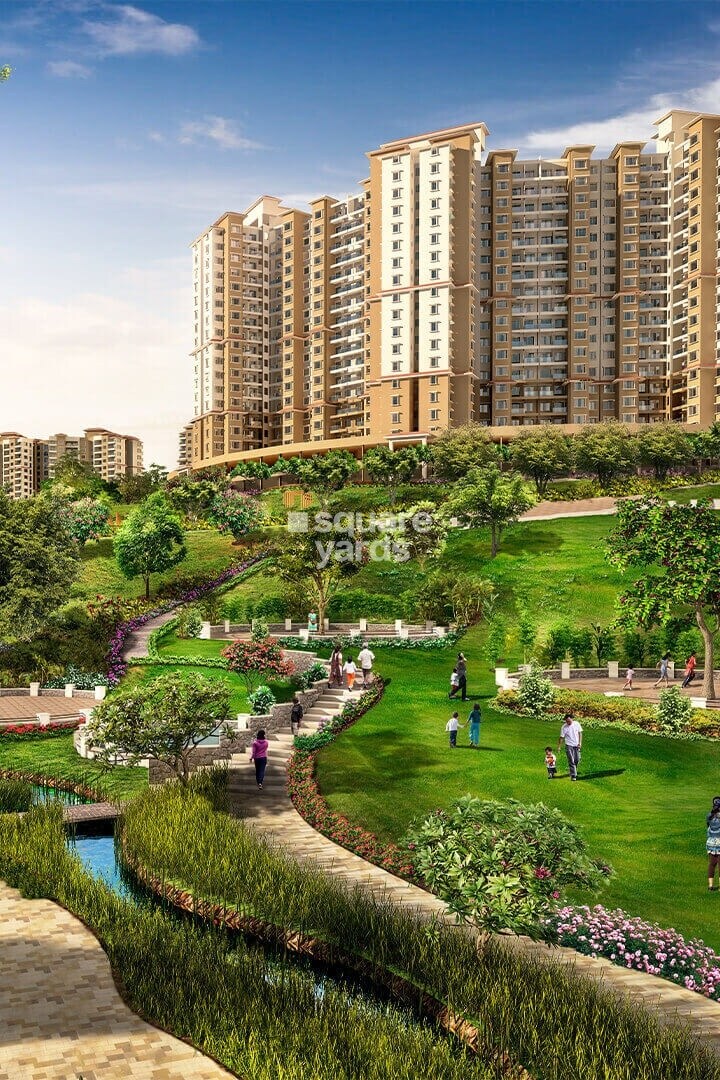 Paranjape Forest Trails The Highlands Tower View 2