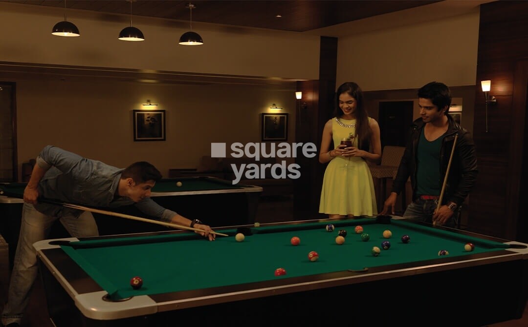 Paranjape Schemes Forest Trails