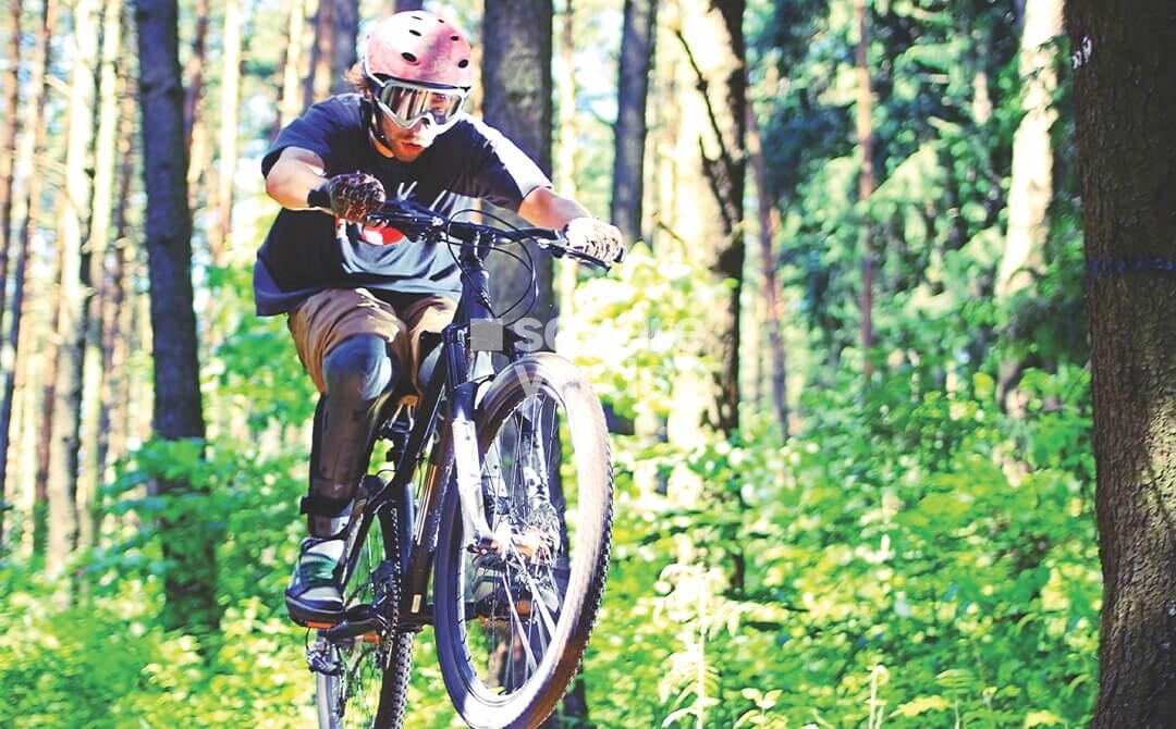 Paranjape Schemes Forest Trails