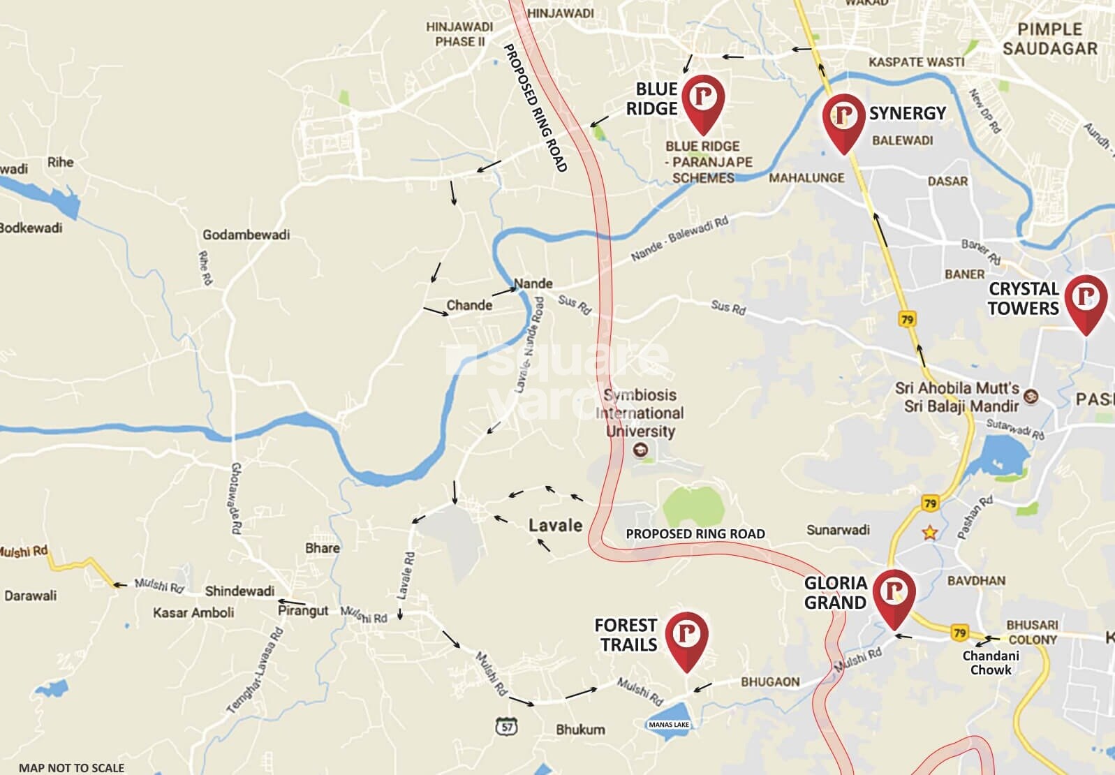 Paranjape Schemes Forest Trails