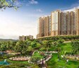 Paranjape Schemes Forest Trails