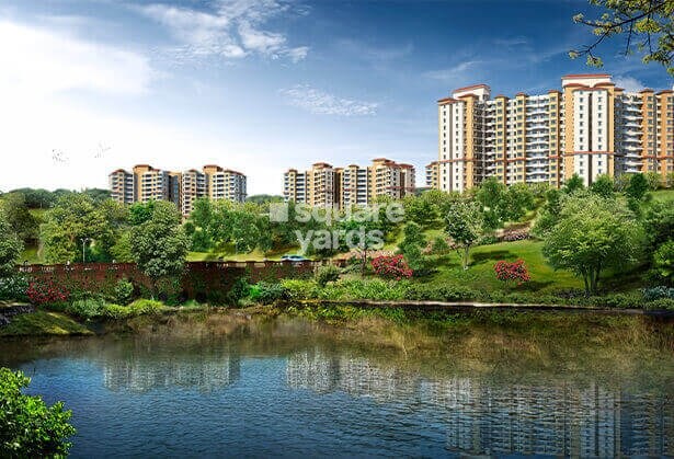 Paranjape Schemes Forest Trails